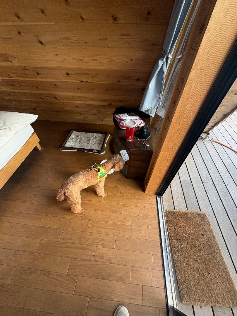 THE DOG DEPT GARDEN RESORT 館山犬石 に実際に