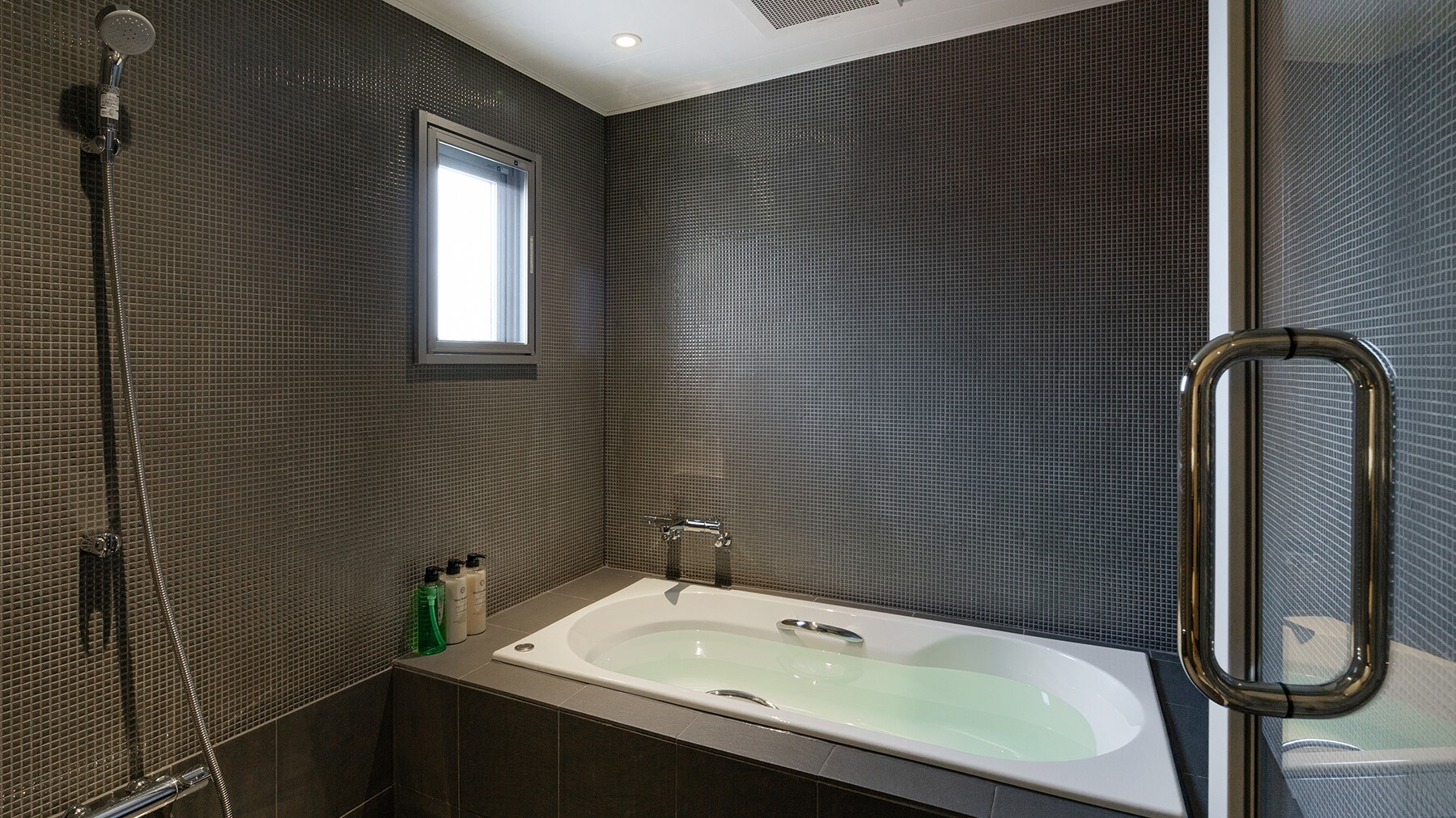 Deluxe Suite Room: Bathroom on the lower floor