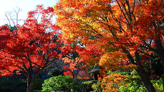 須磨離宮公園