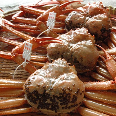 Golden Crab