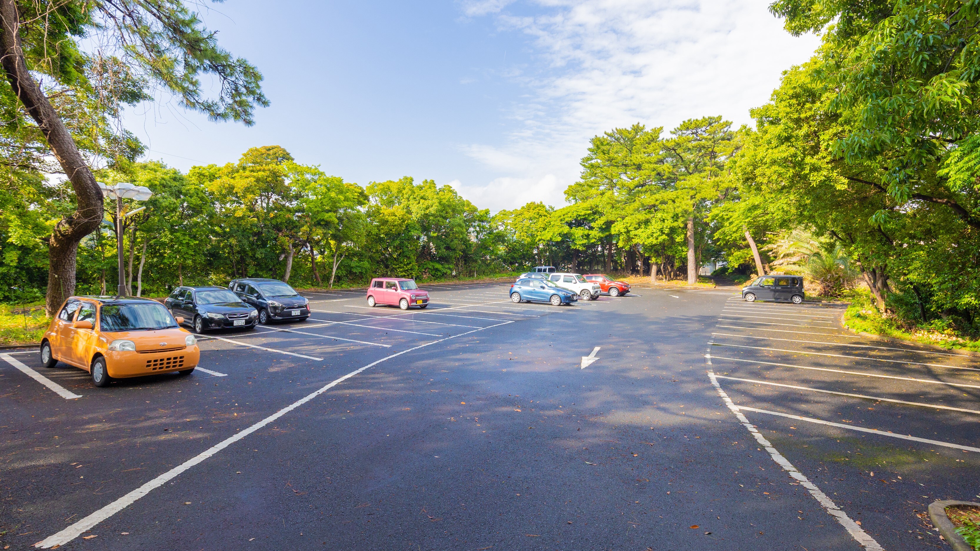 * In the facility: We have a space where you can park up to about 100 cars.