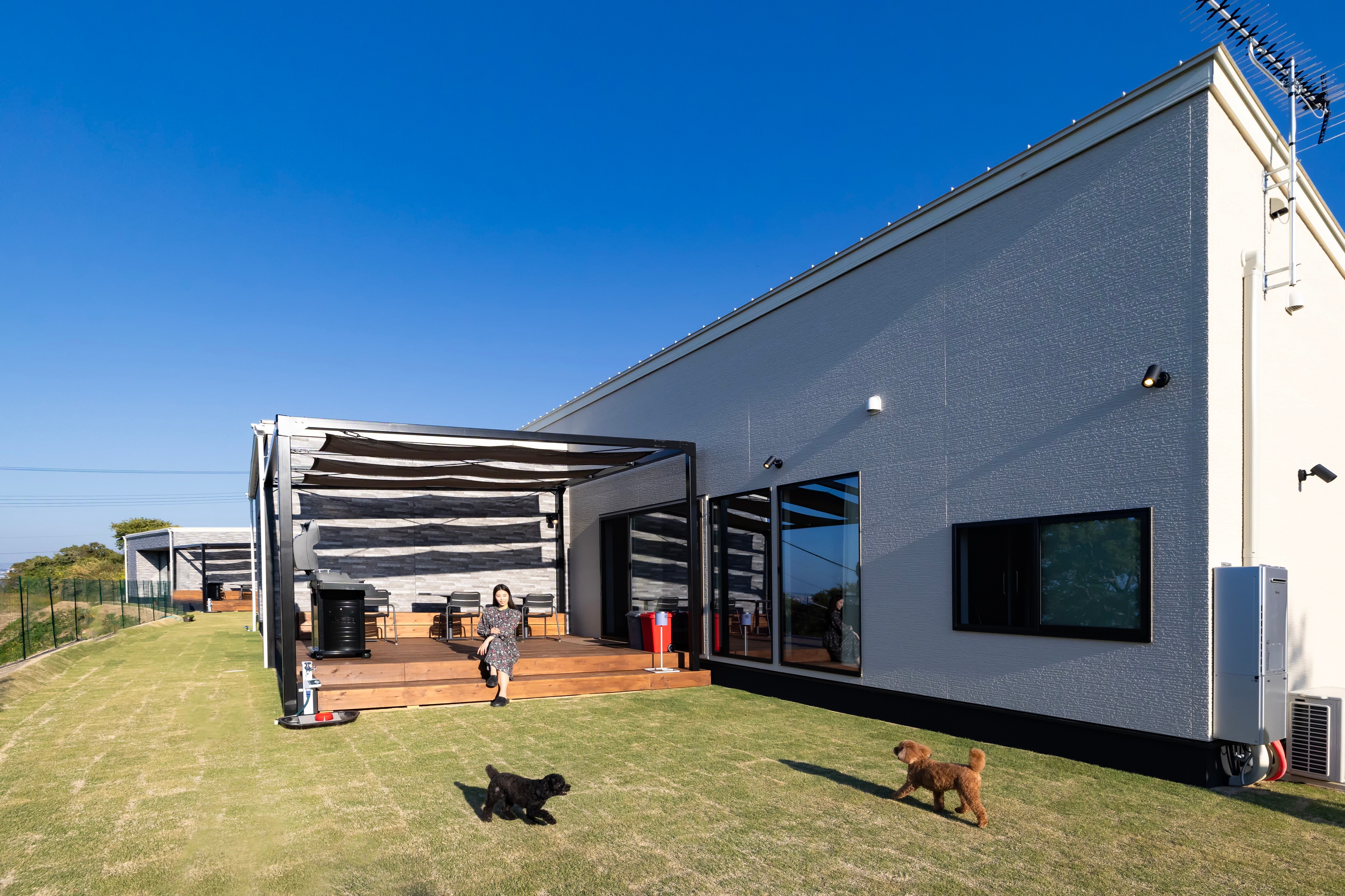 Dog run