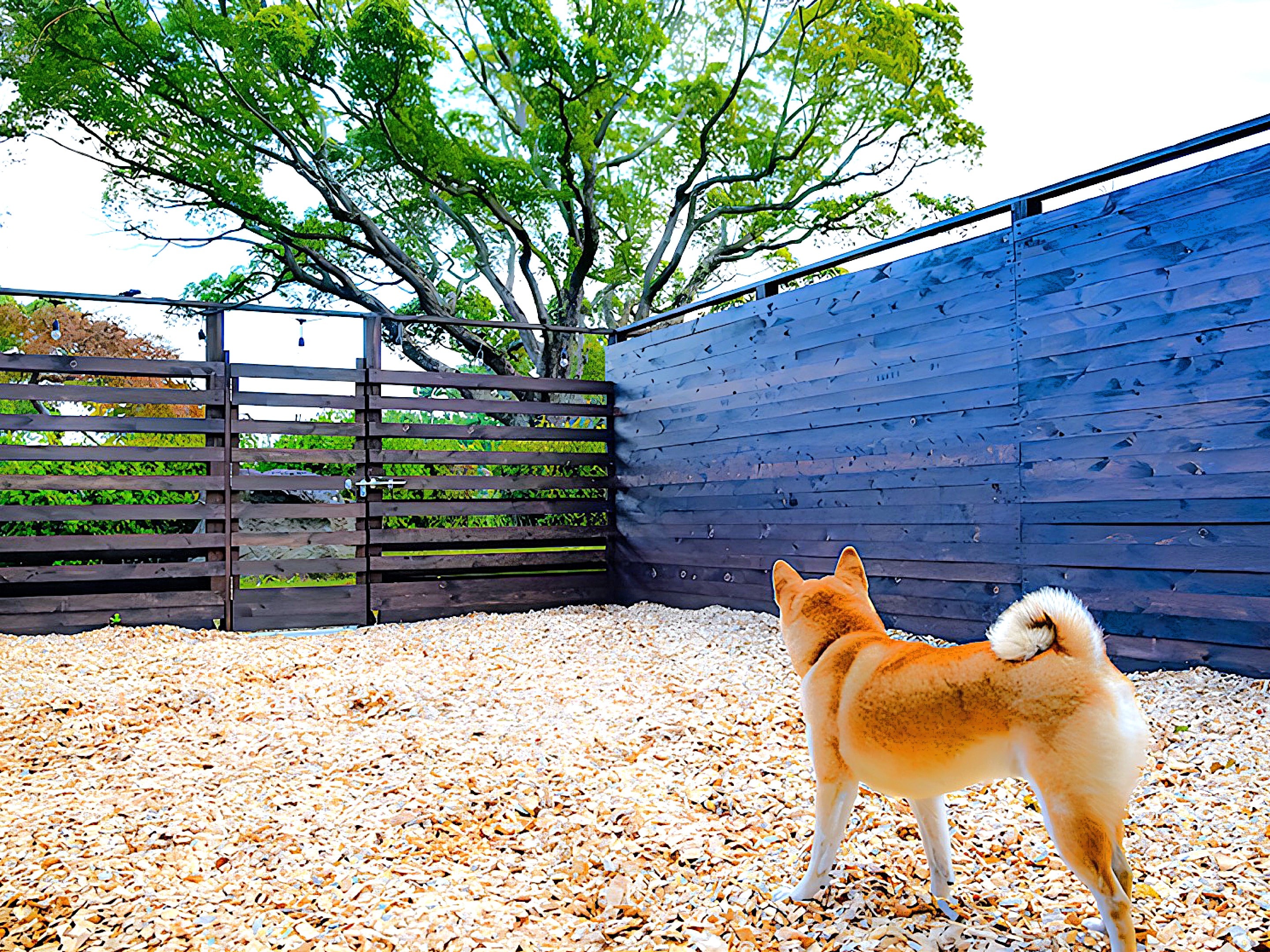 [Japanese Beauty Suite] 44 square meters + 16 square meters dedicated dog run