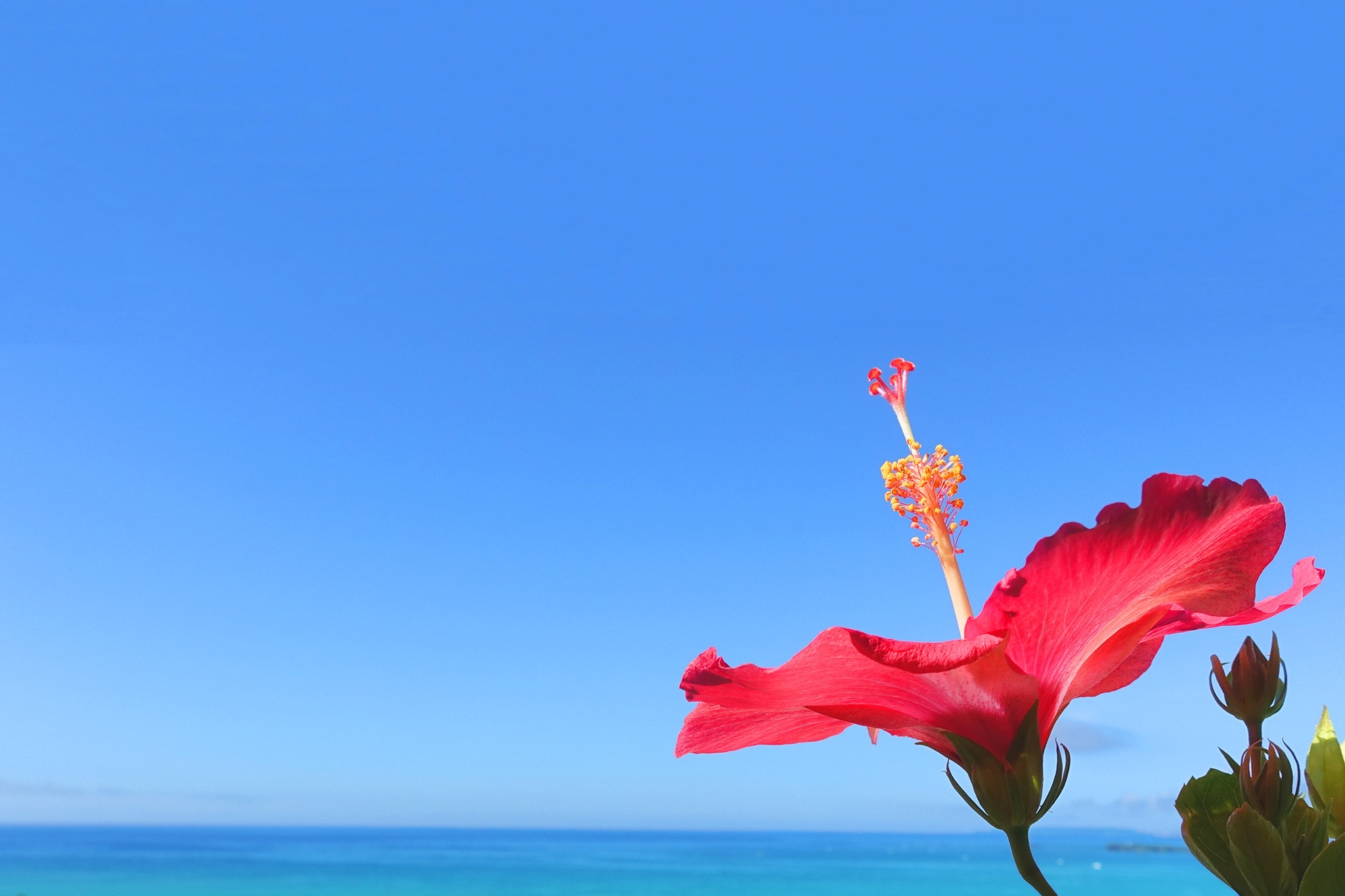 Use the guest house Sazanka, which is located in the middle of Okinawa, as a base for your trip!