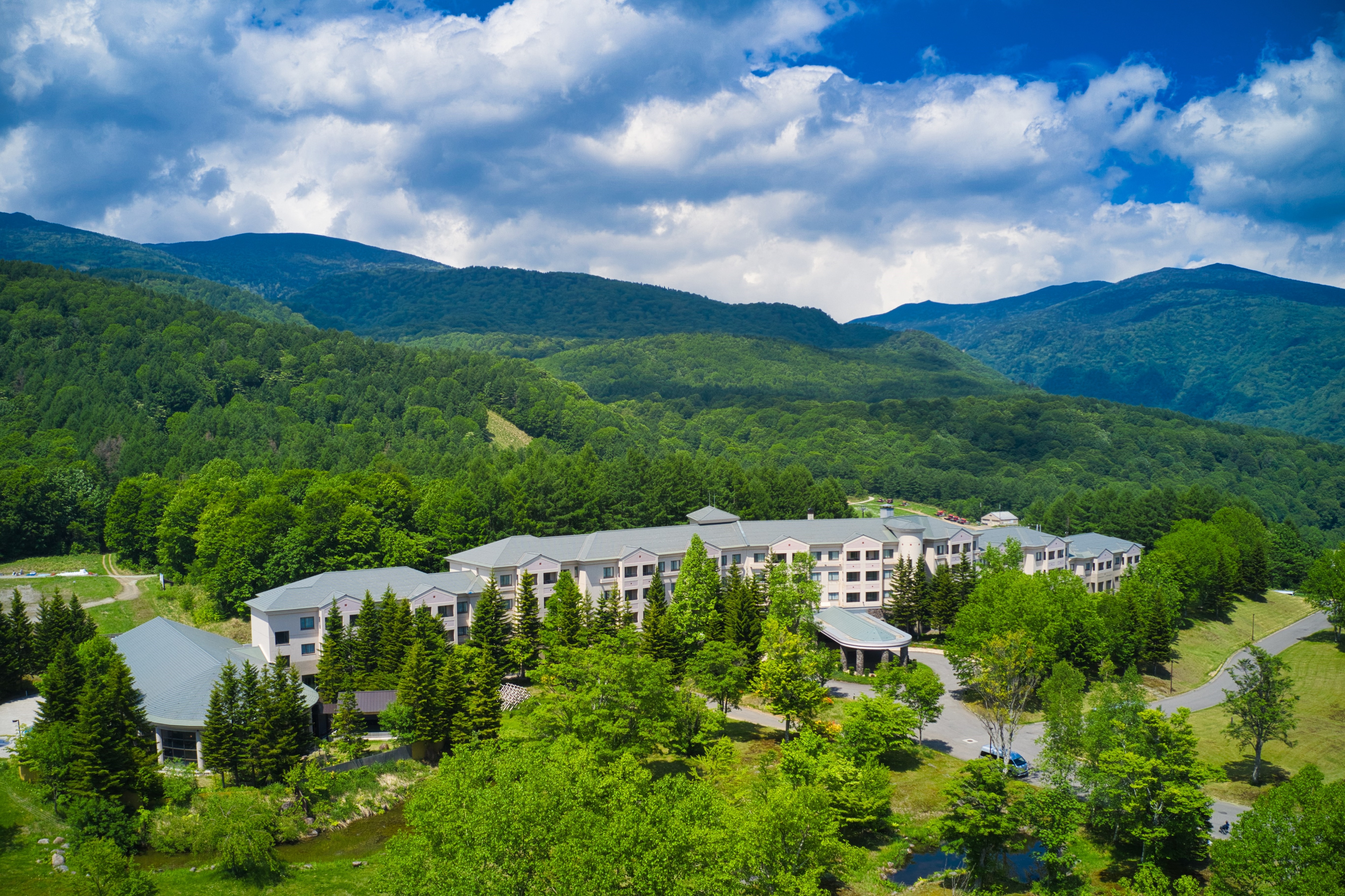 グランデコのグリーンシーズン