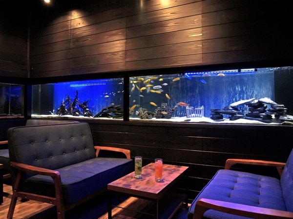 Quầy bar nước
