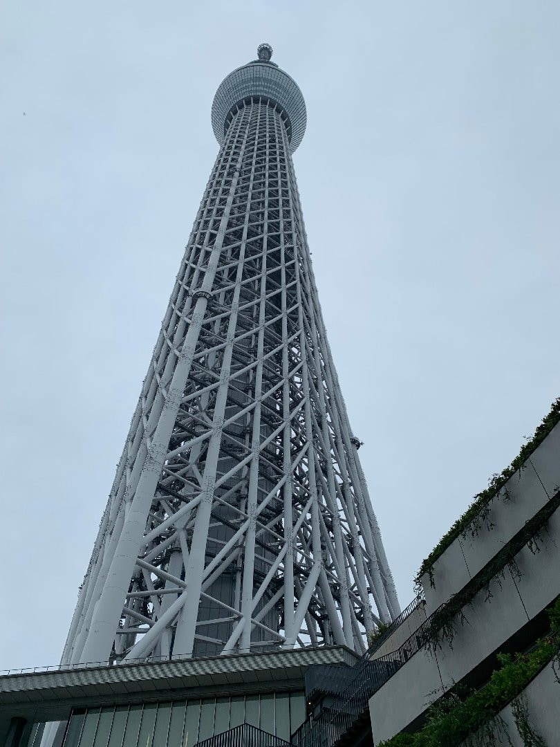 IMG_1495.jpeg