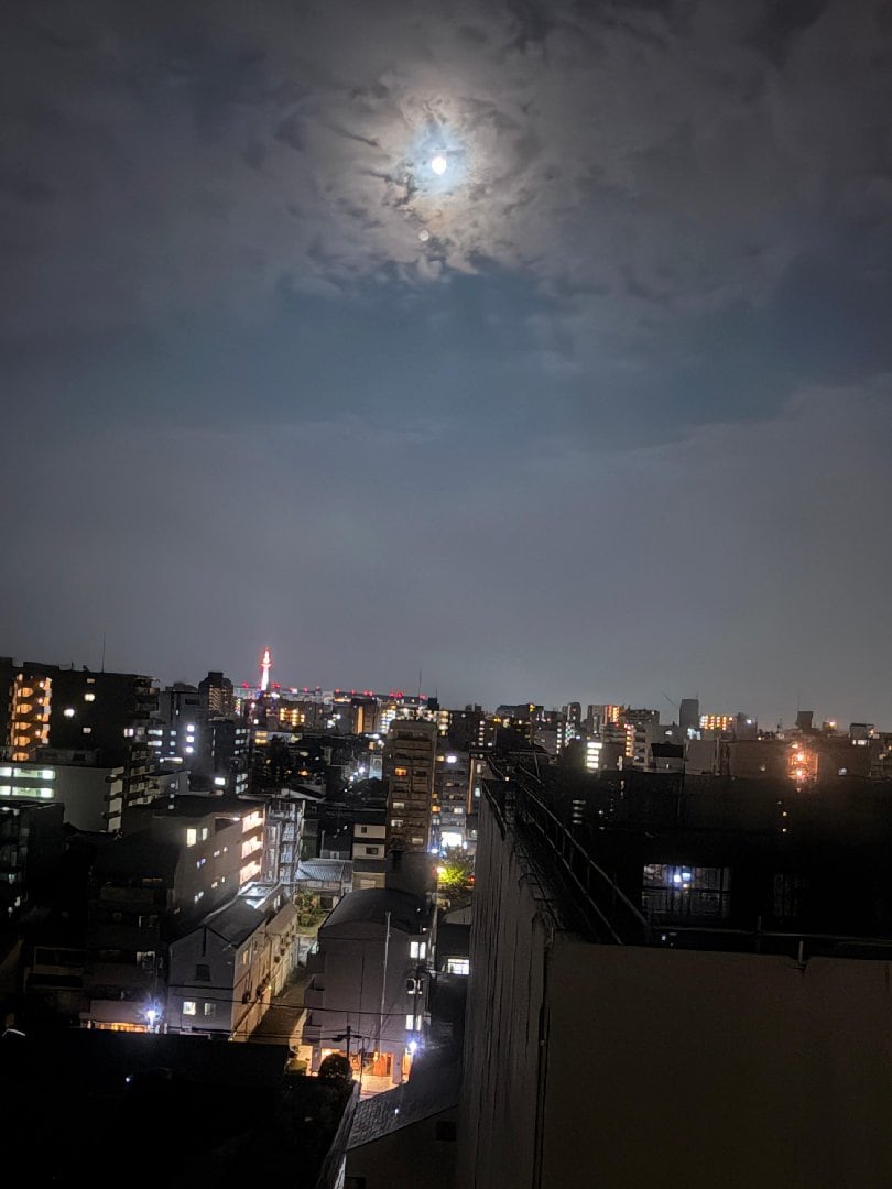 IMG_8251.jpeg