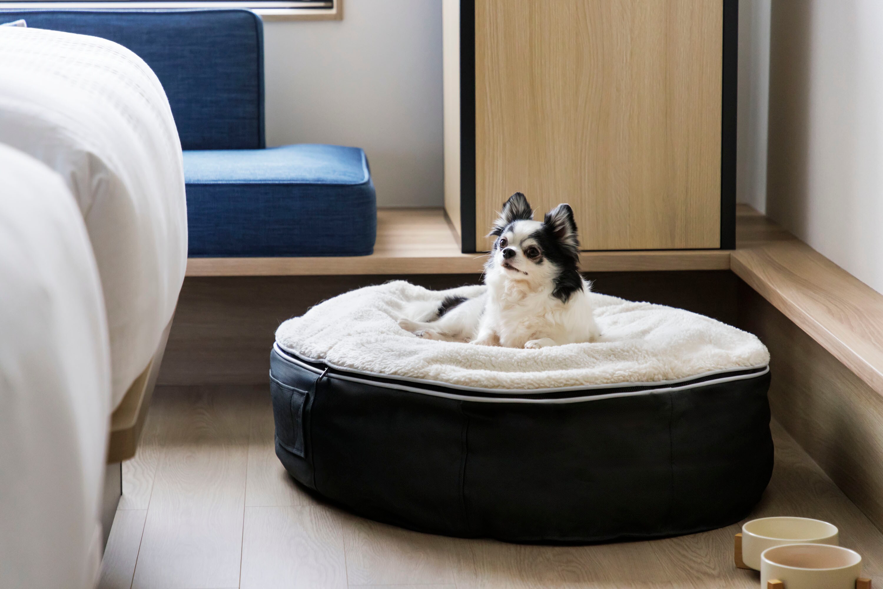 Dog Friendly Room