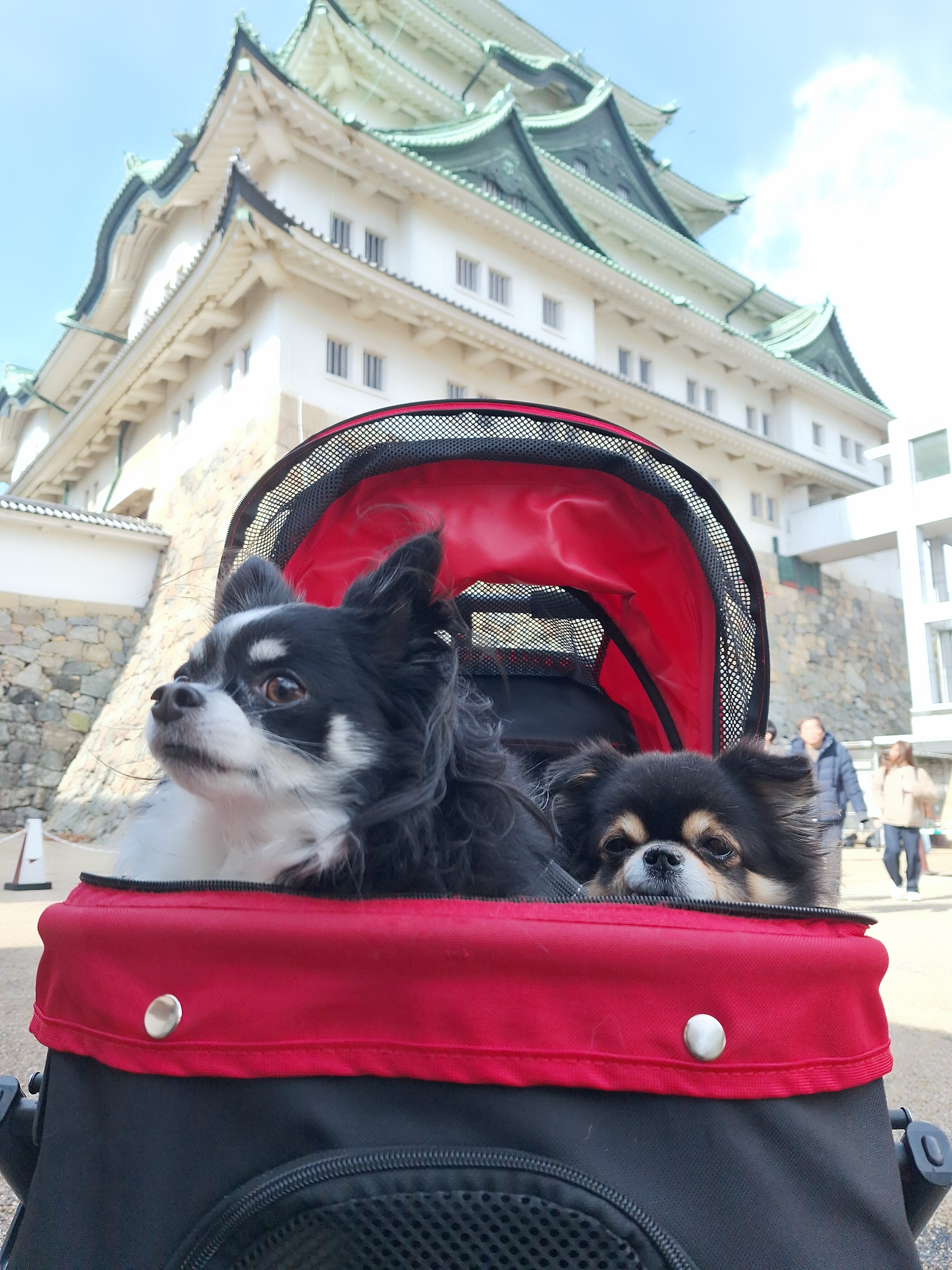 Nagoya Castle and pets