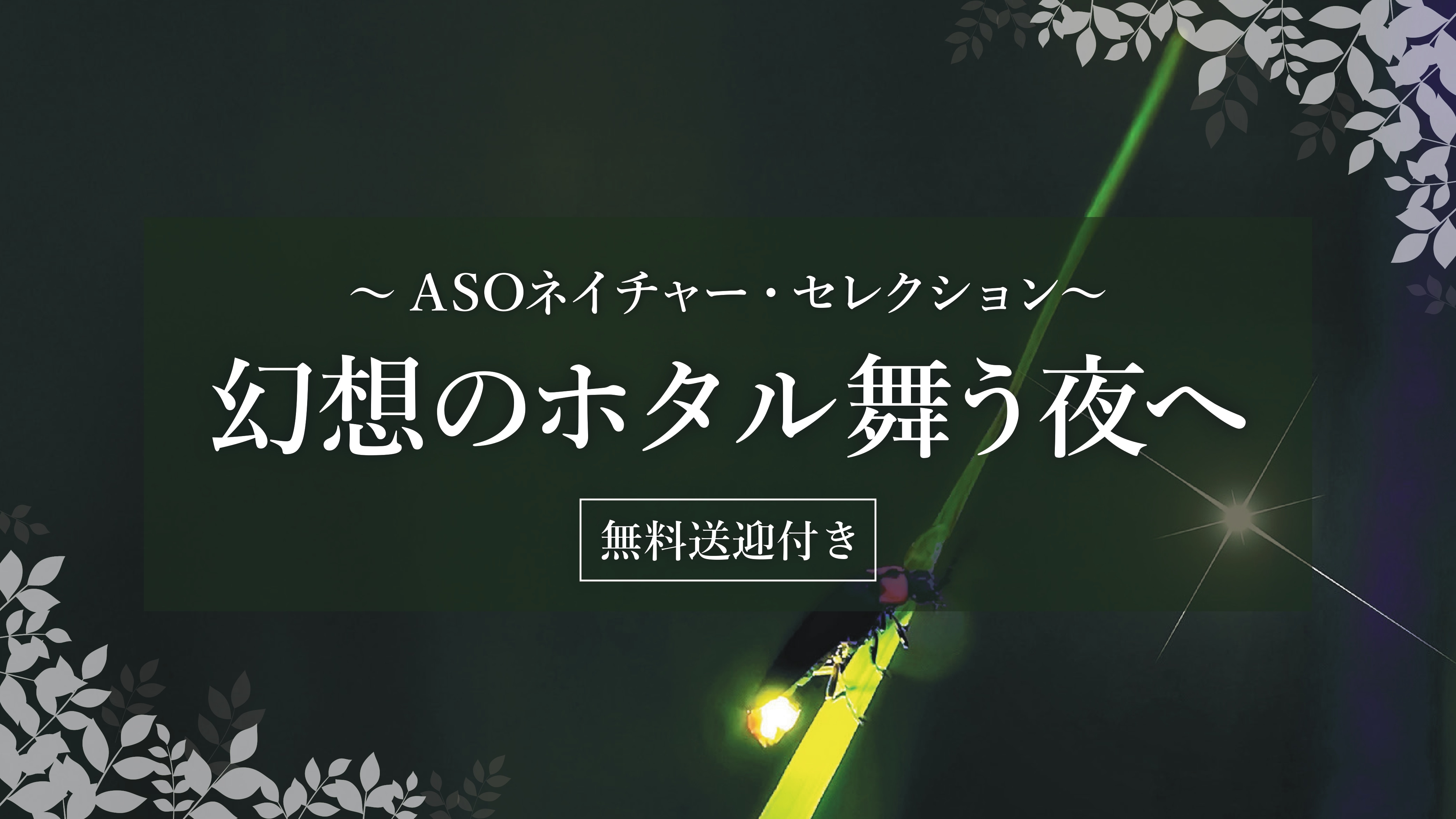 ASOネイチャー・セレクション「ホタル」