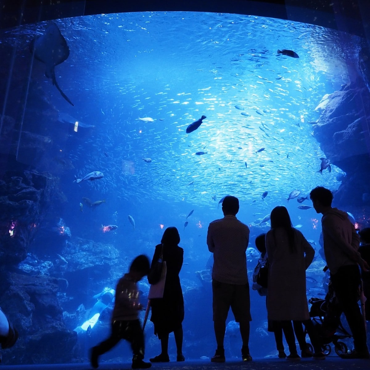 京都水族館