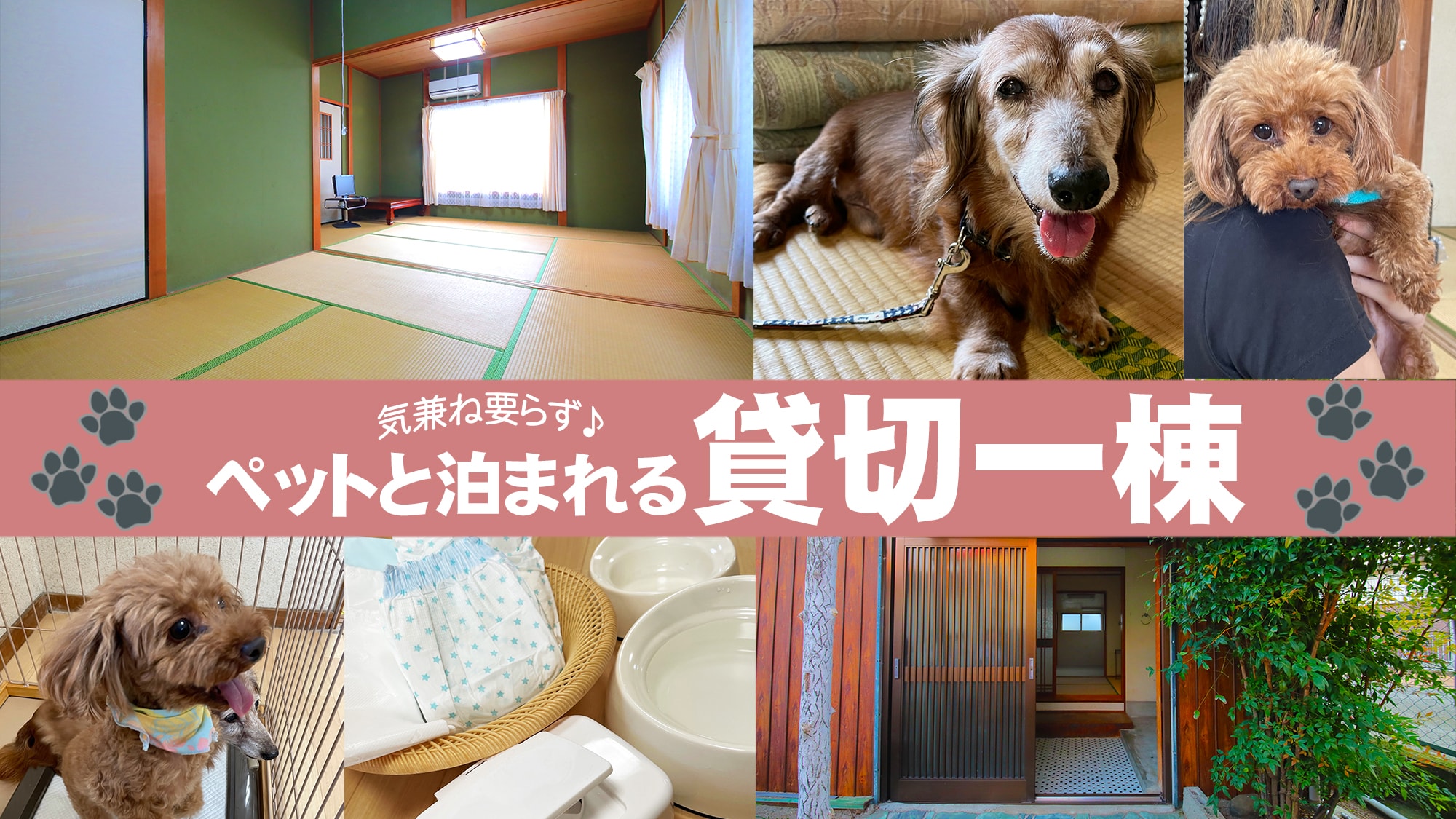 【可以帶寵物入住的房屋】