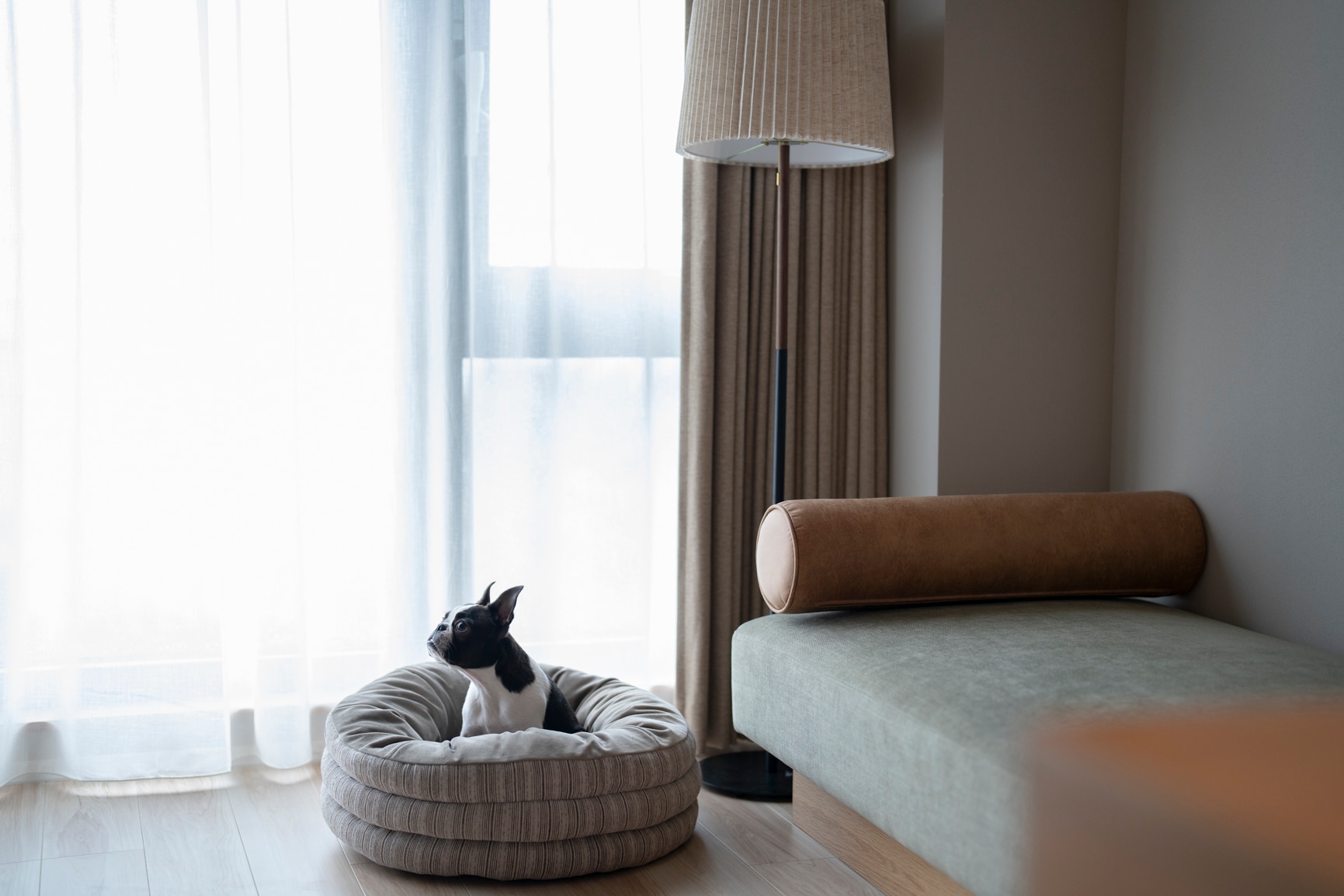 [ห้องสุนัขพร้อมวิวทะเล]