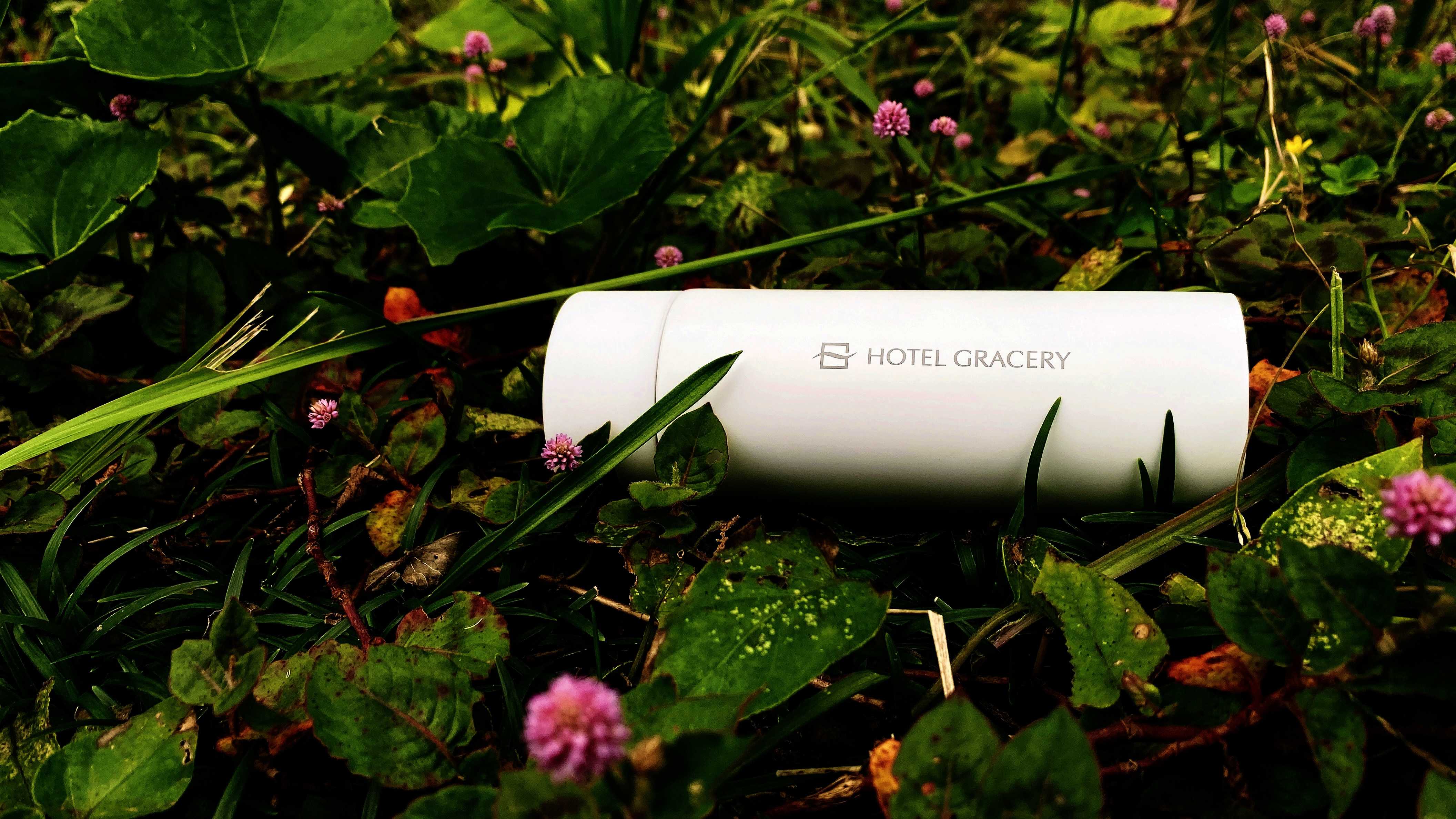 eco bottle