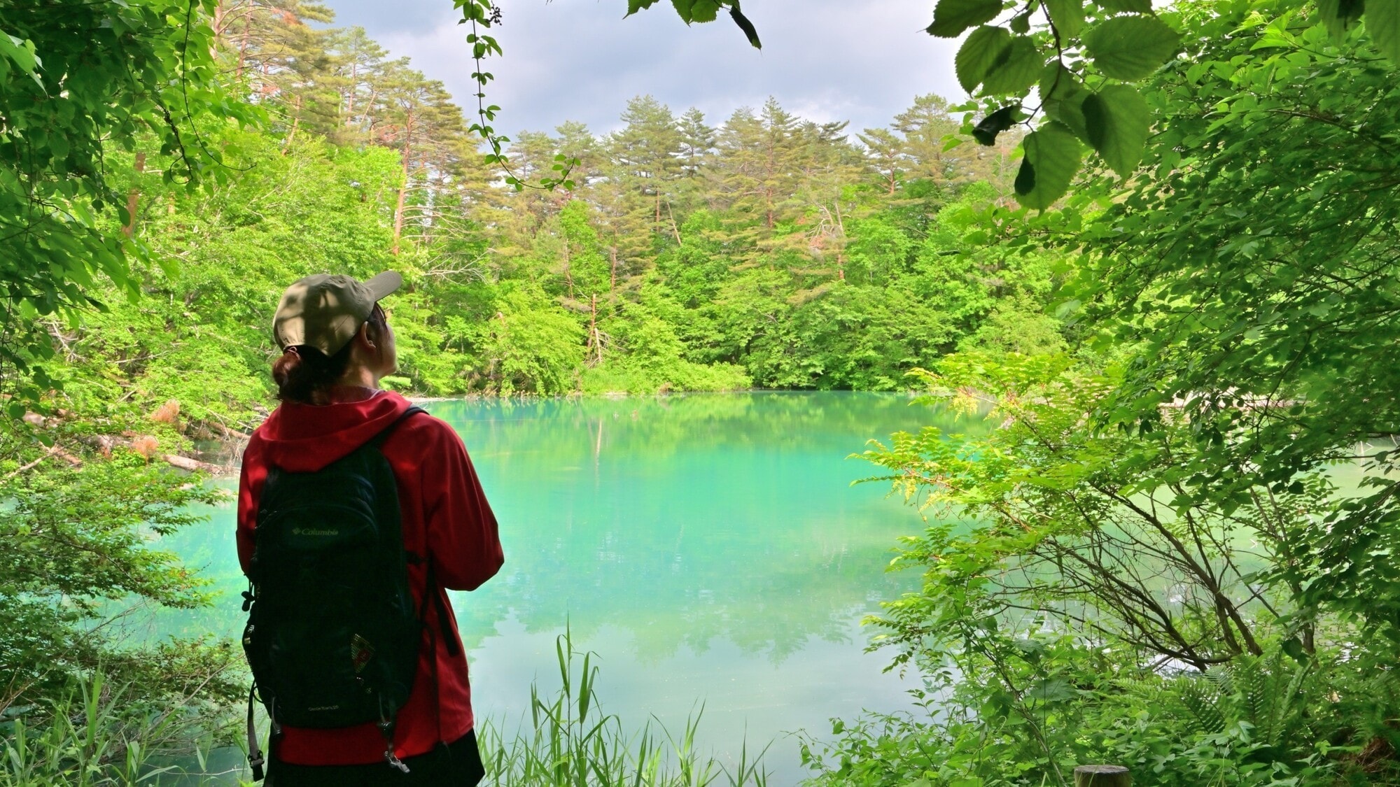 Goshikinuma Nature Trail 1