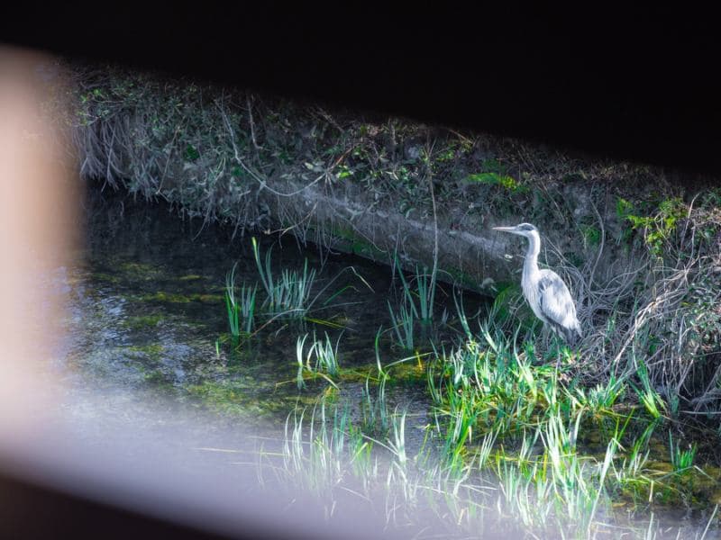 View from the second floor of the main building (You can enjoy watching rare wild birds, including white herons, in the surrounding area)