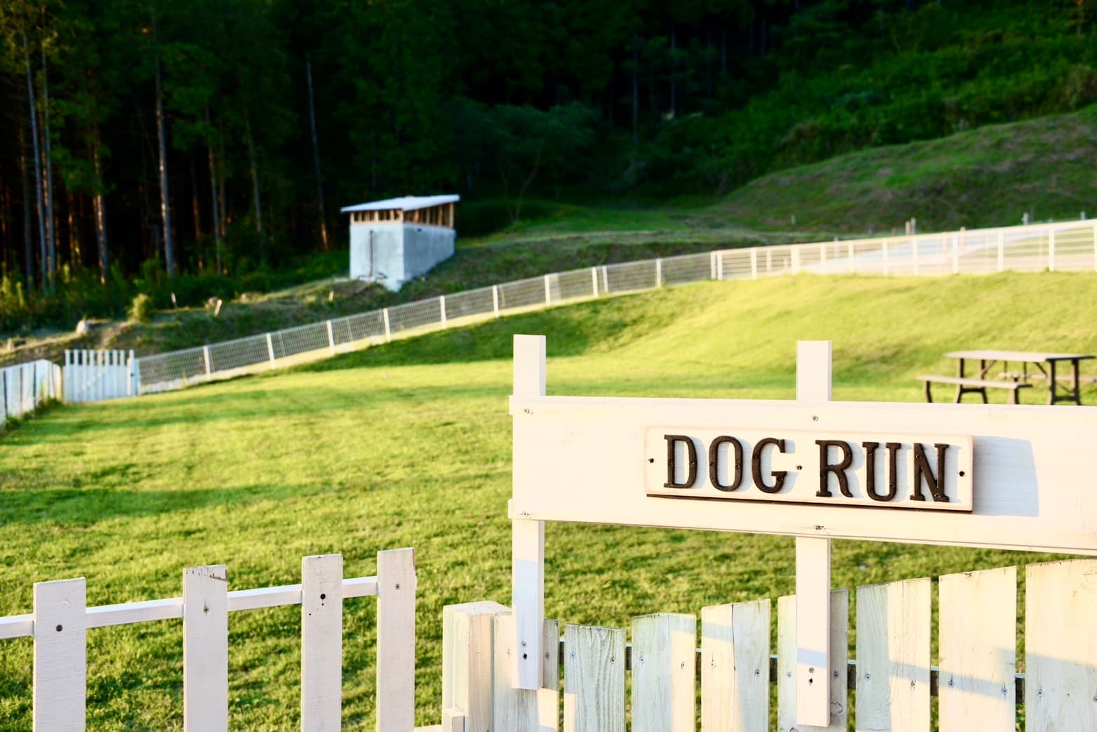 Dog run