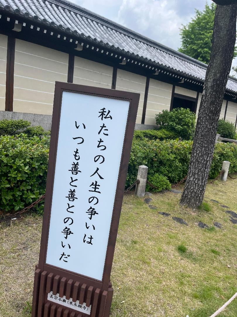 E3203999-EF88-4EDB-965F-0AB873731BFA.jpeg
