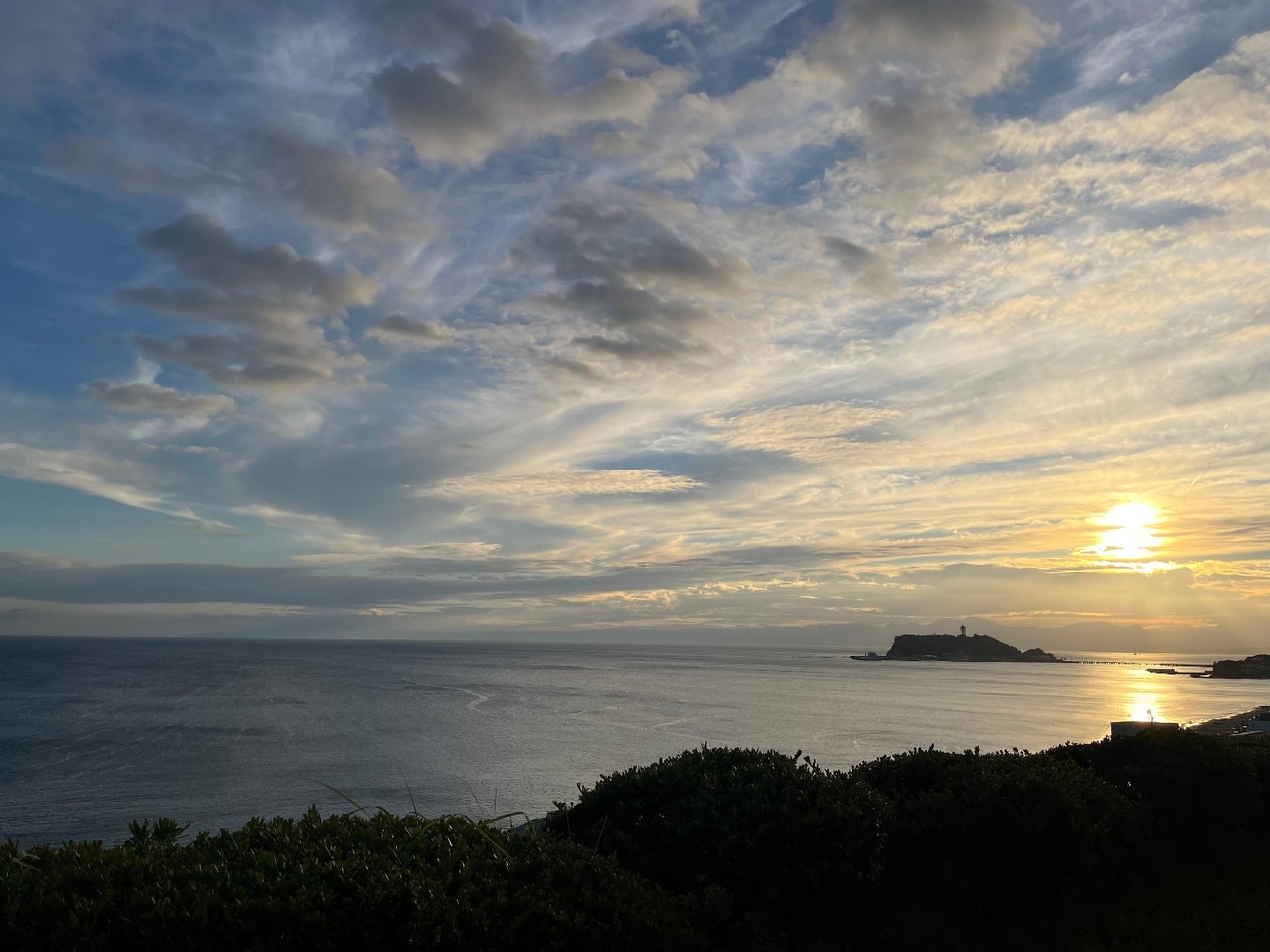 IMG_1035.jpeg