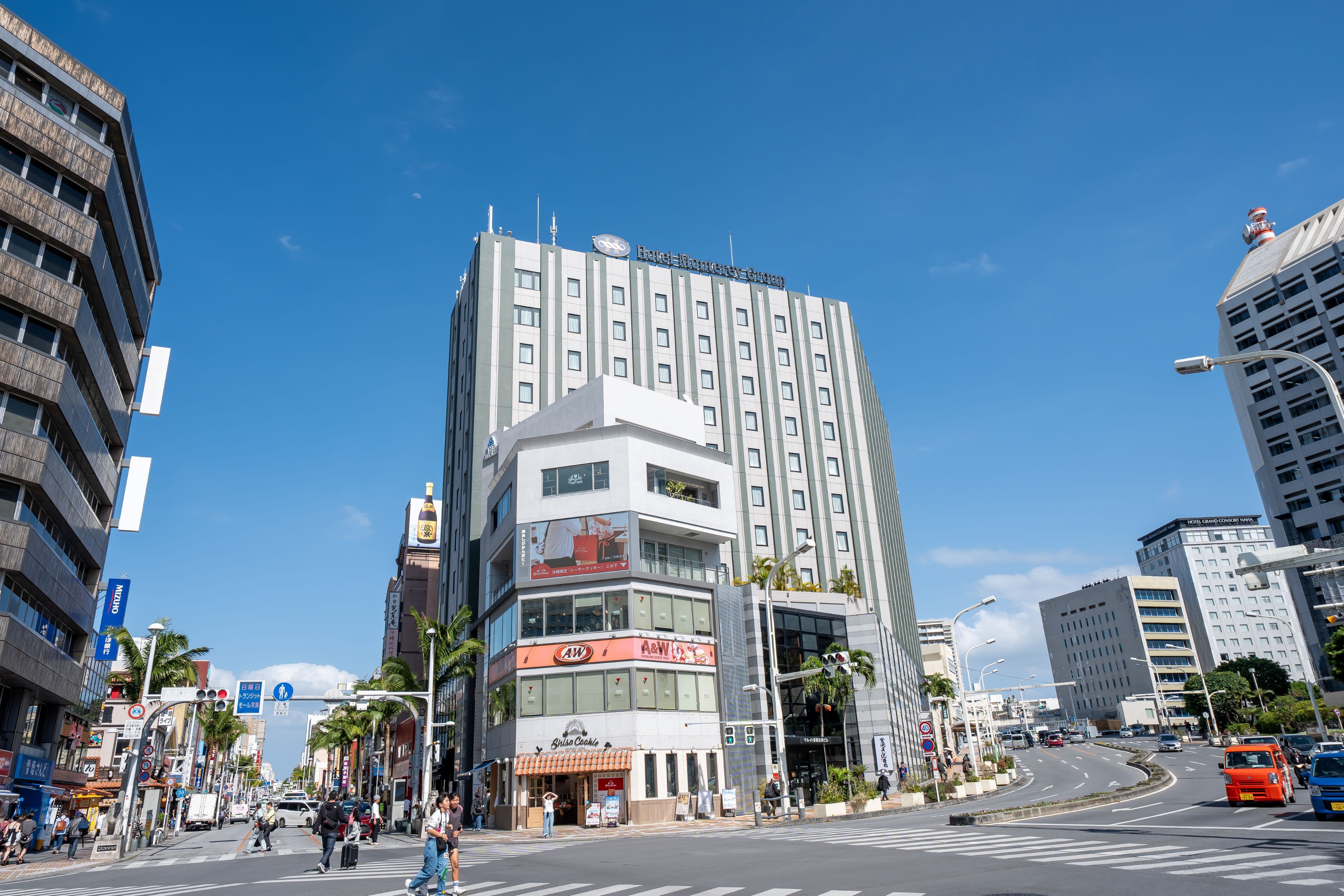 外观（大）