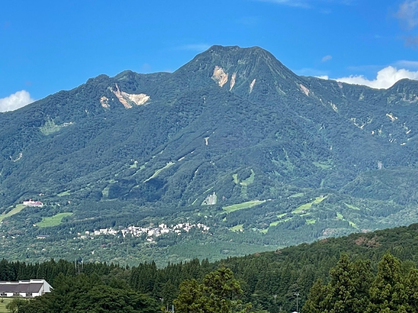 IMG_2175.jpeg