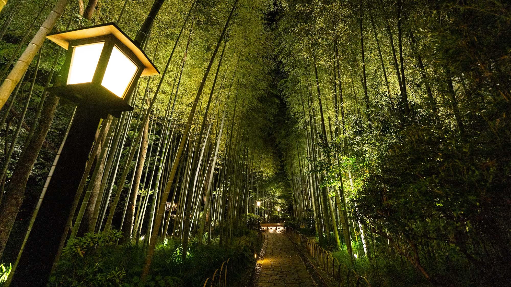 Bamboo Forest Path