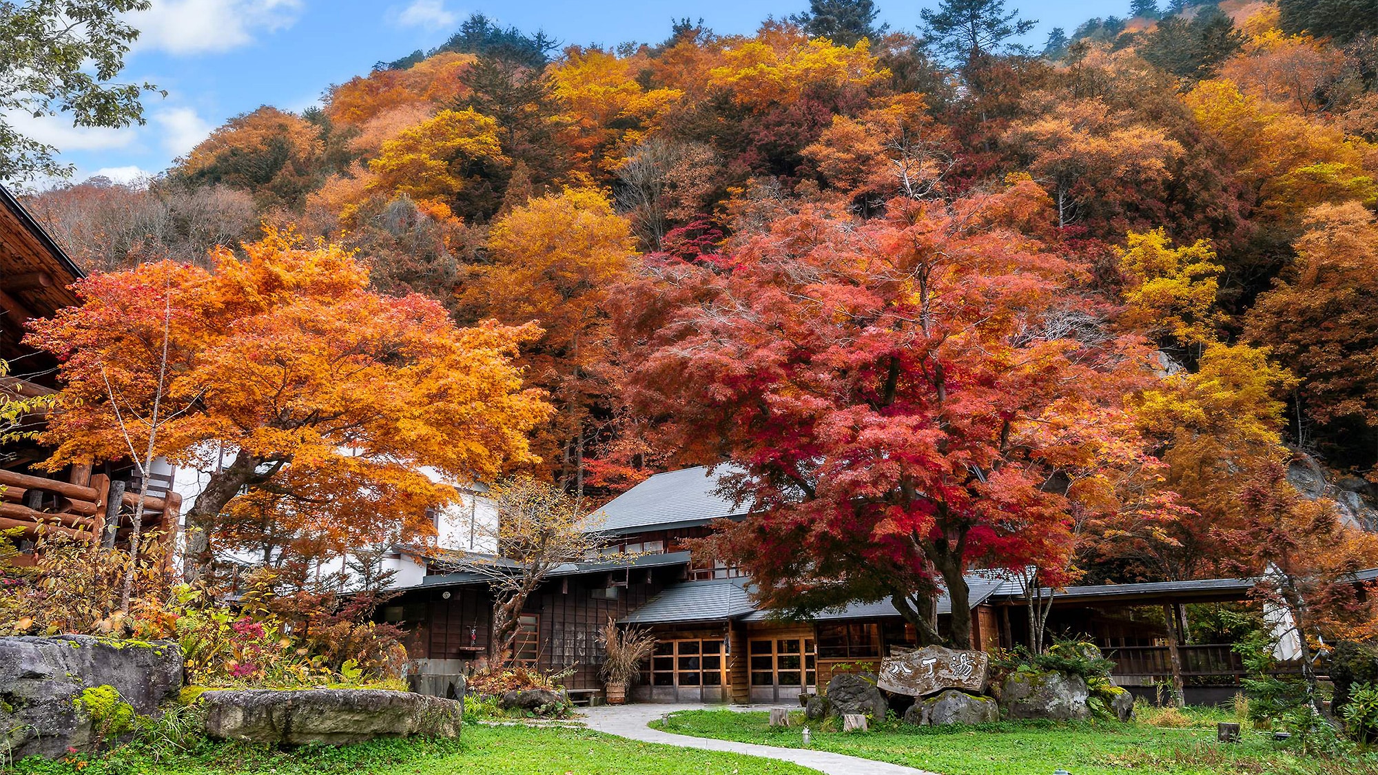 [Autumn] Appearance
