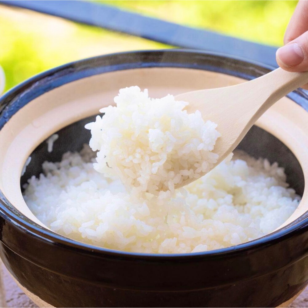 cooked rice