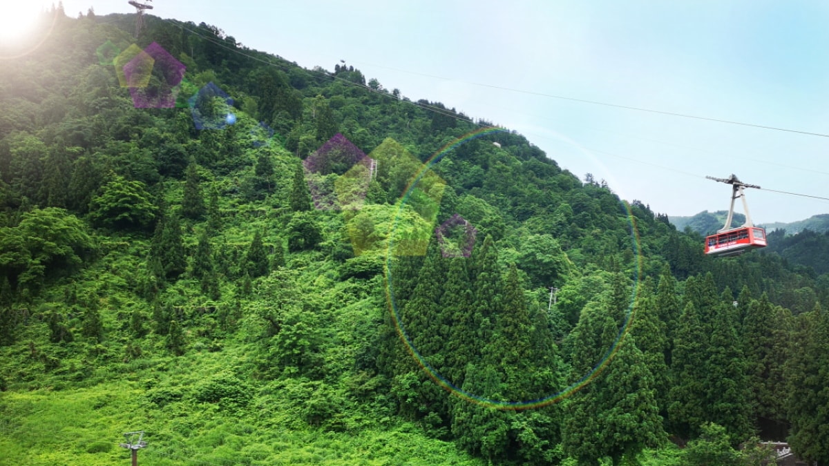 ANY [Scenery] <Slope debut> Green season You can see the Yuzawa Kogen Ropeway.