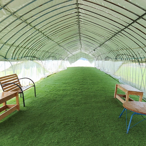 *[Dog run] Artificial turf and benches are provided.