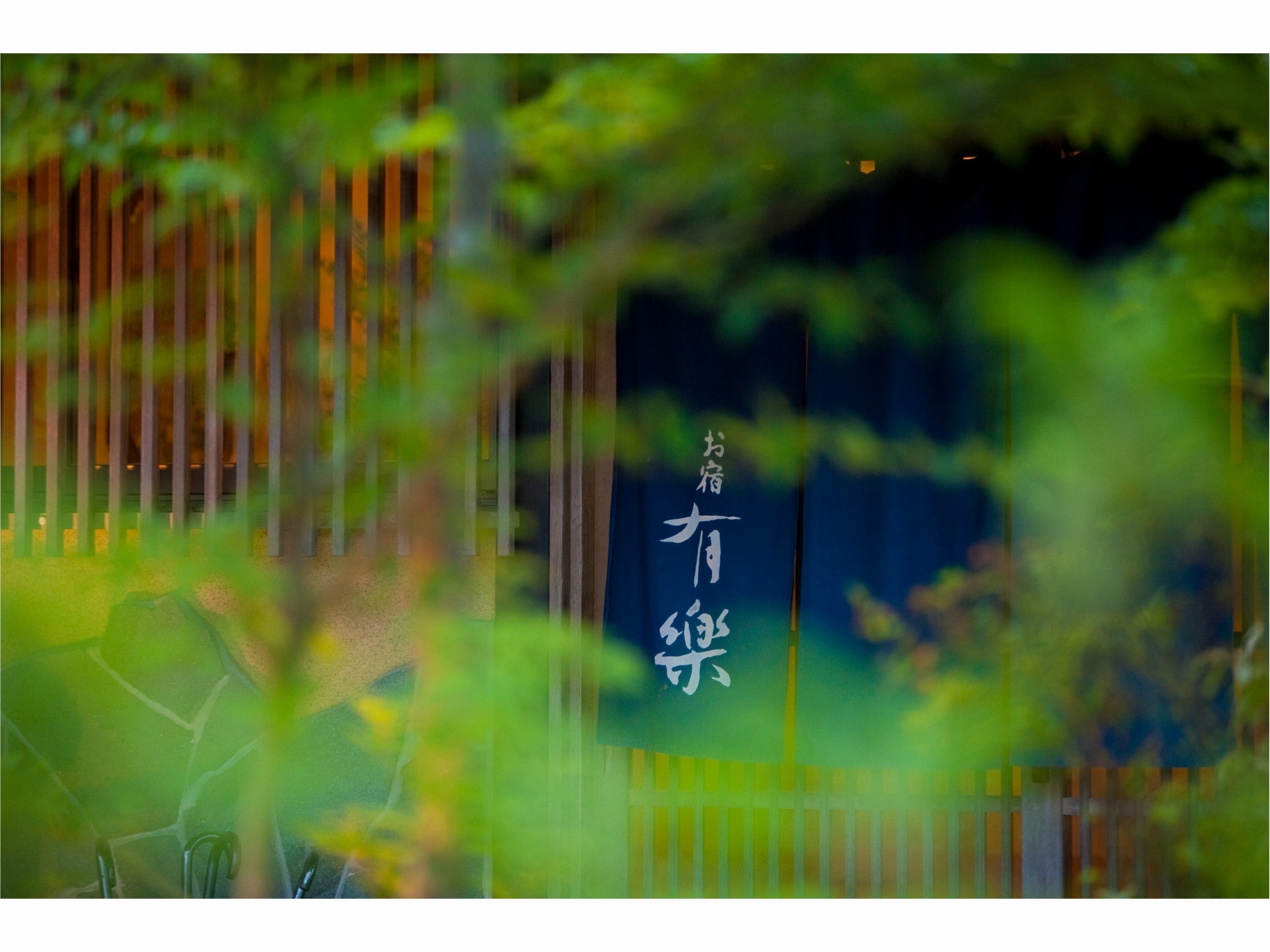 入口窗簾和綠植