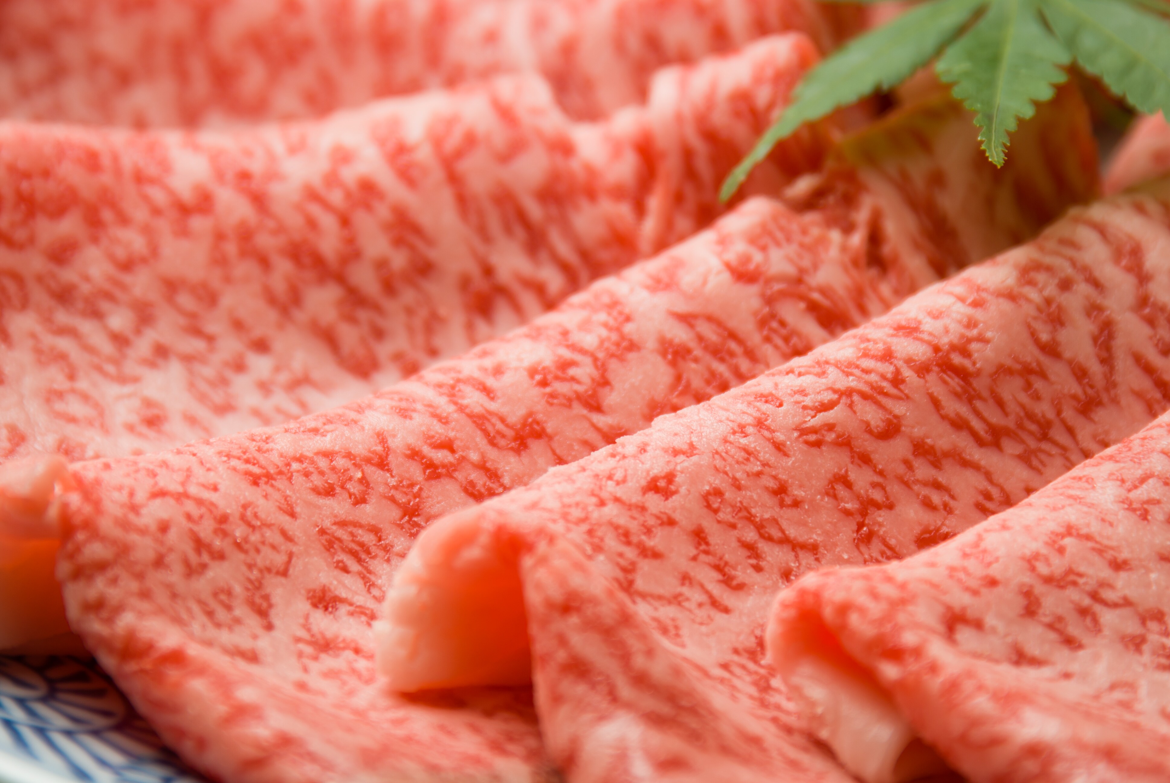Matsuzaka meat
