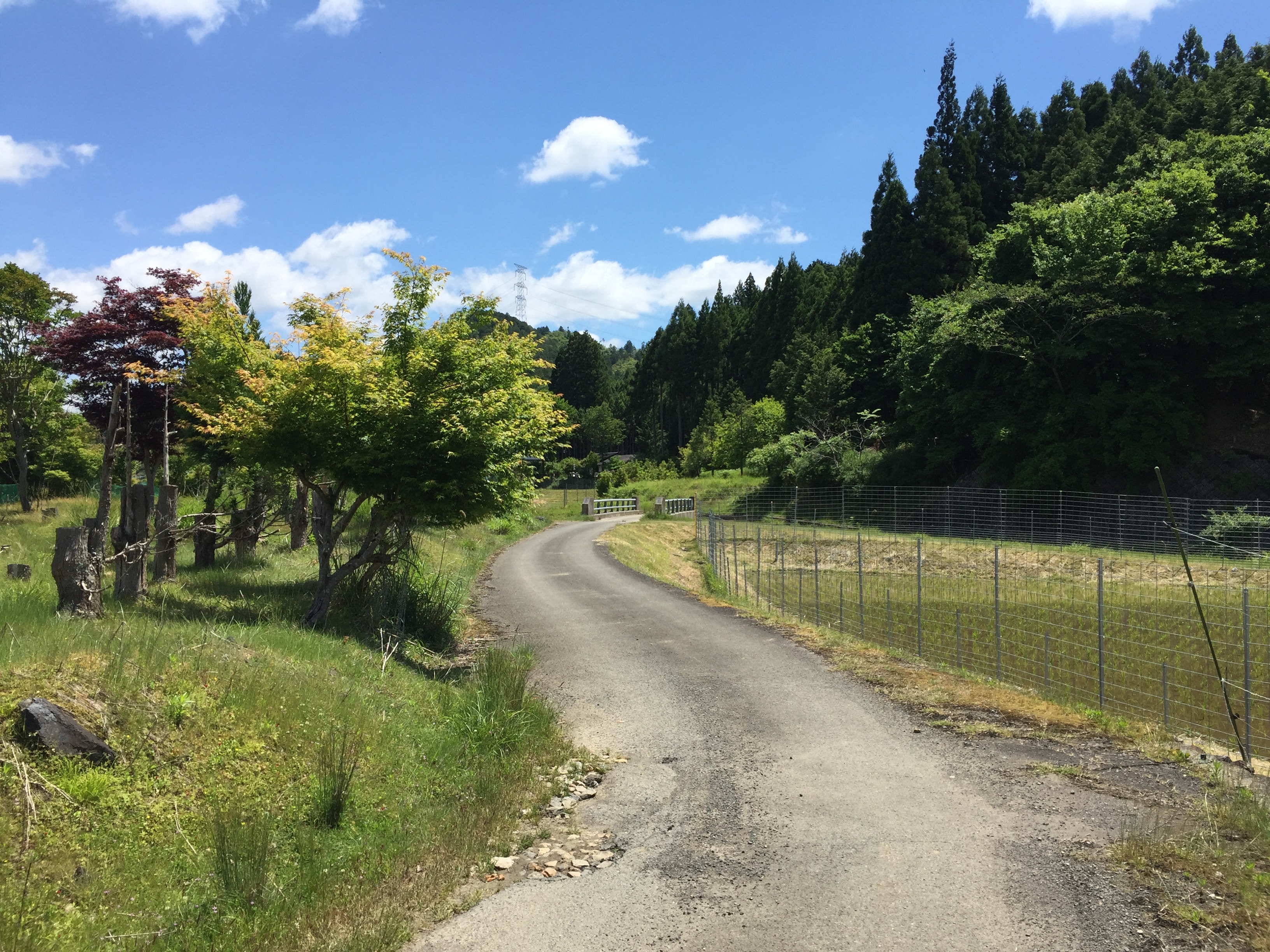 Walking Path