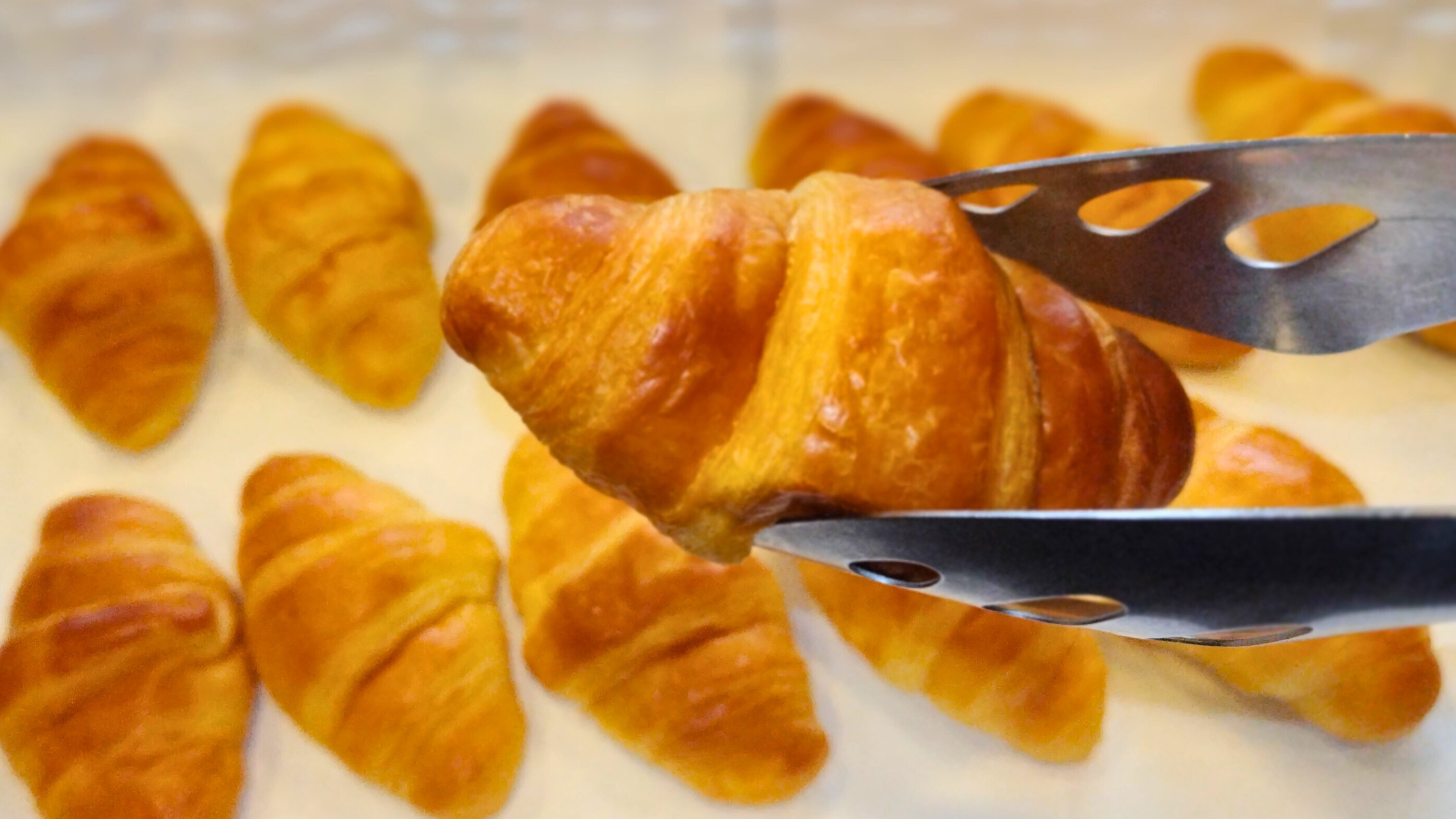 ◆원 플레이트 아침 식사 일례＜오카와리 빵＞