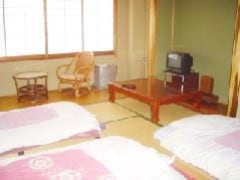 Japanese style room (large)