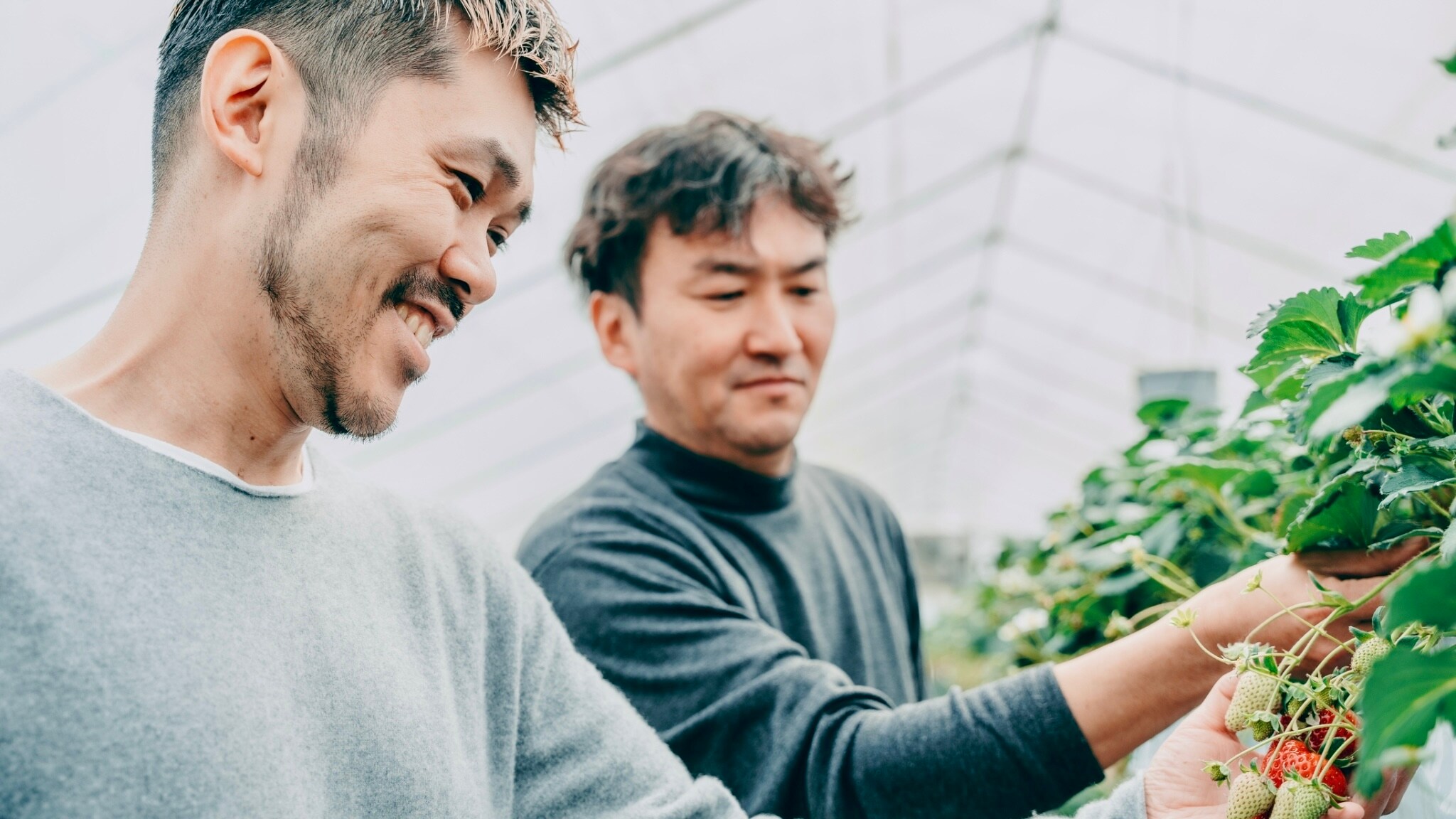~奈良縣食材~