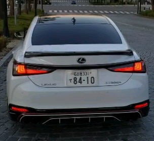 profile