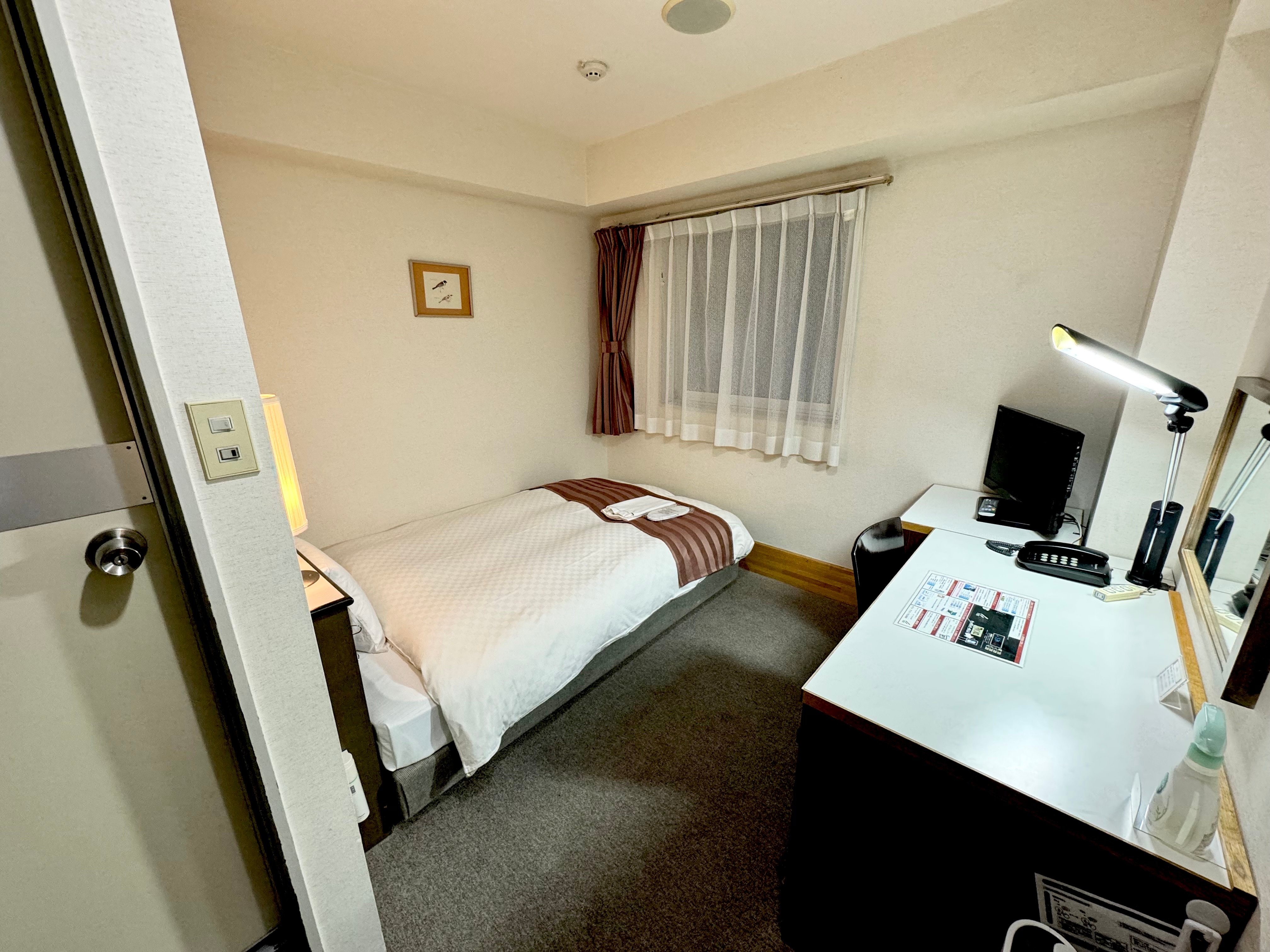 シングル2024遠目