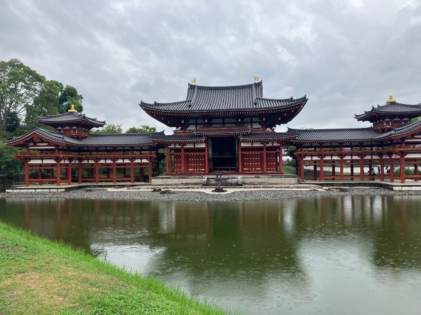 IMG_2339.jpeg