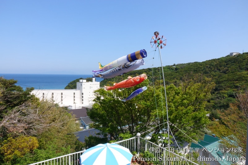Terrace Carp streamers