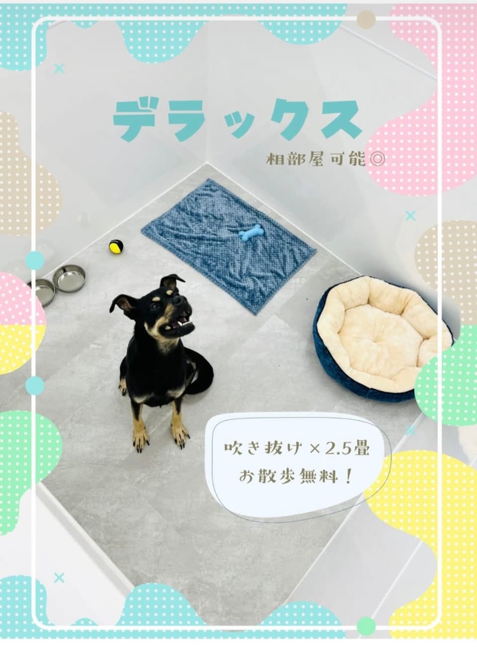 ONE LUKE 디럭스