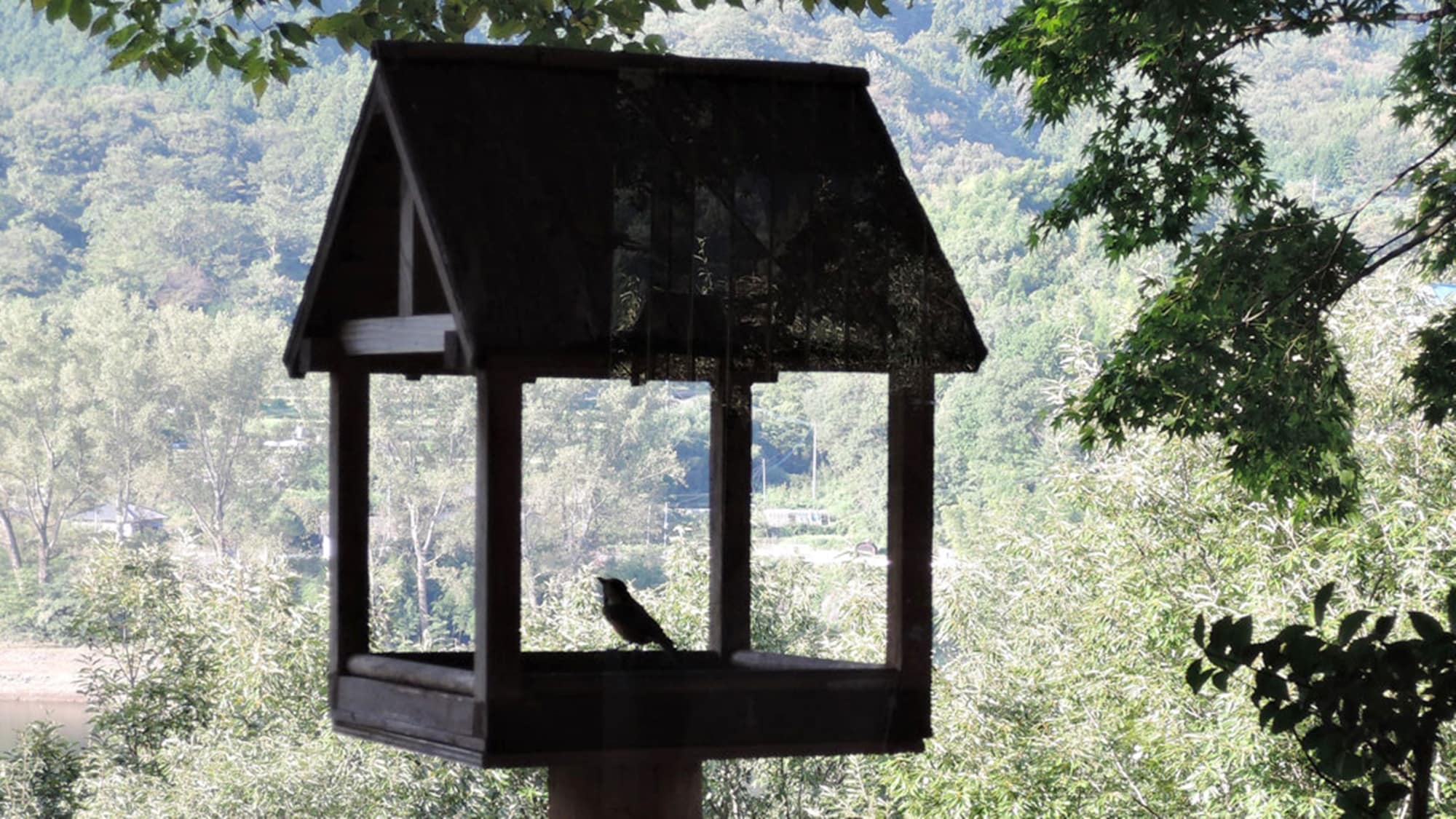 *Contoh fasilitas: Aviary