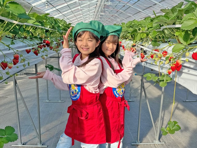 すさみんのいちご畑