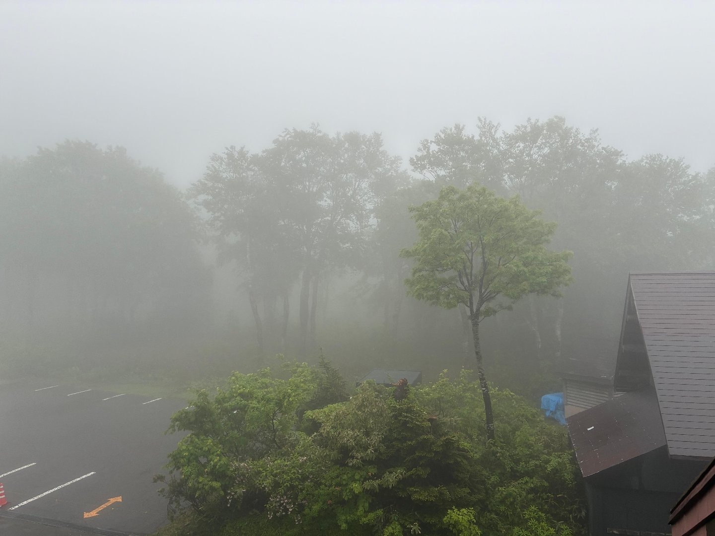 6B60C299-03F1-492A-B435-1155A646E1A3.jpeg