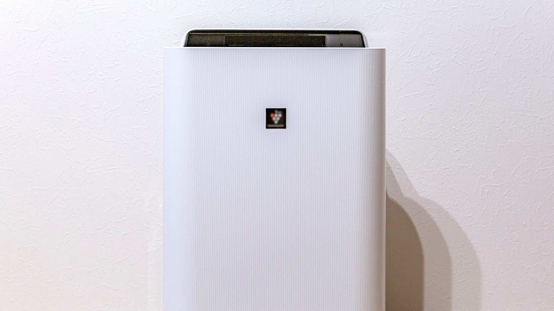 Air purifier with humidifier function