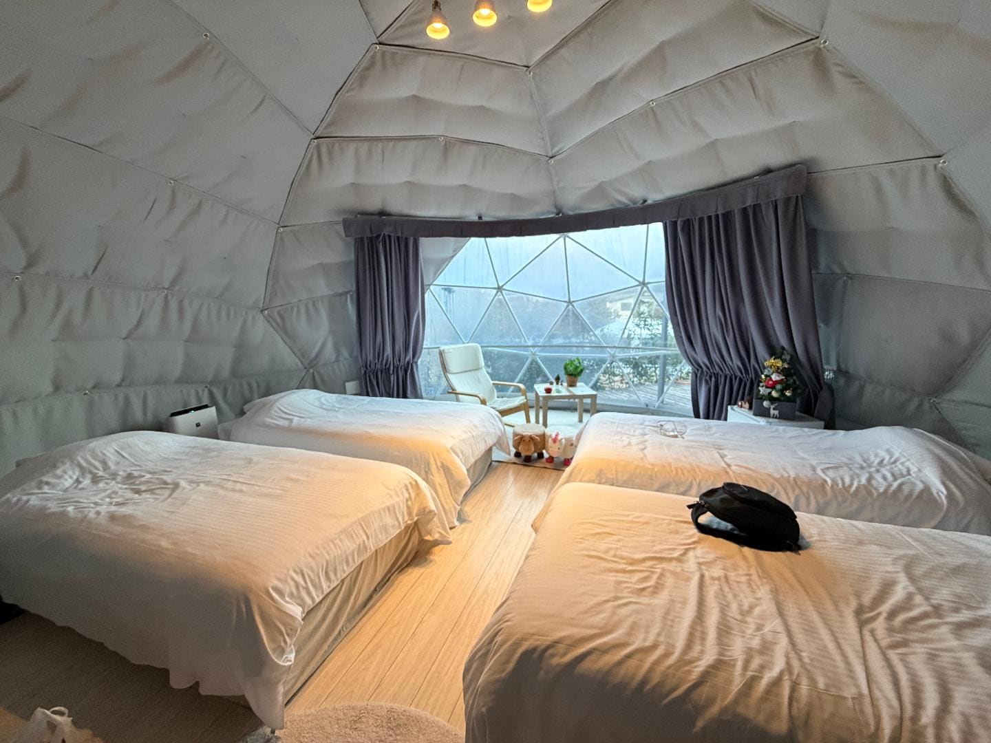 2025-11-15 16.35.05.jpg