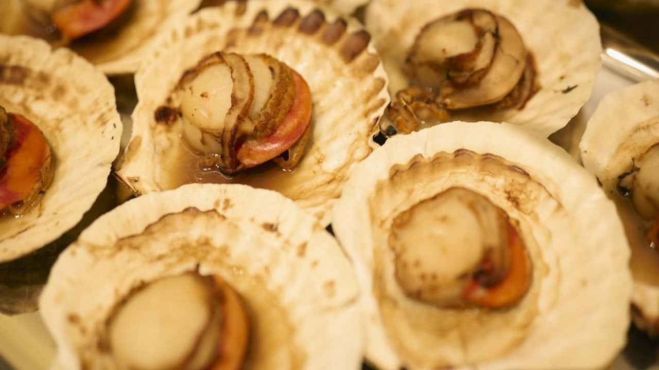 Grilled scallops