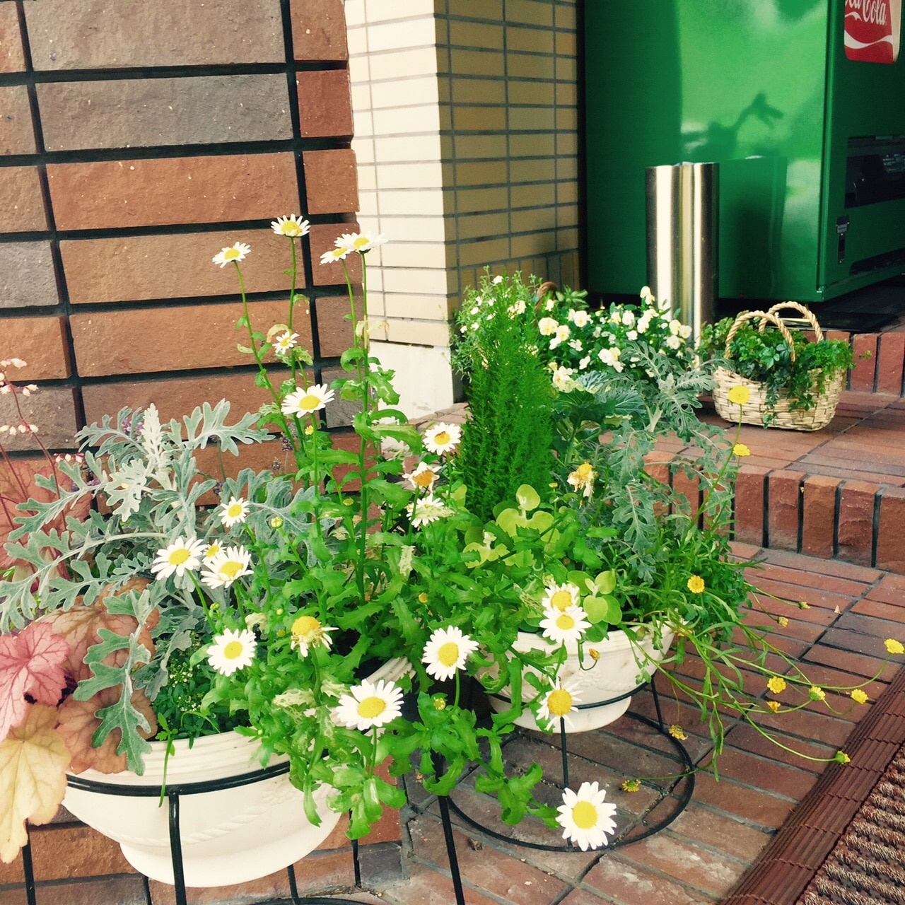 ･ 入口处的鲜花･