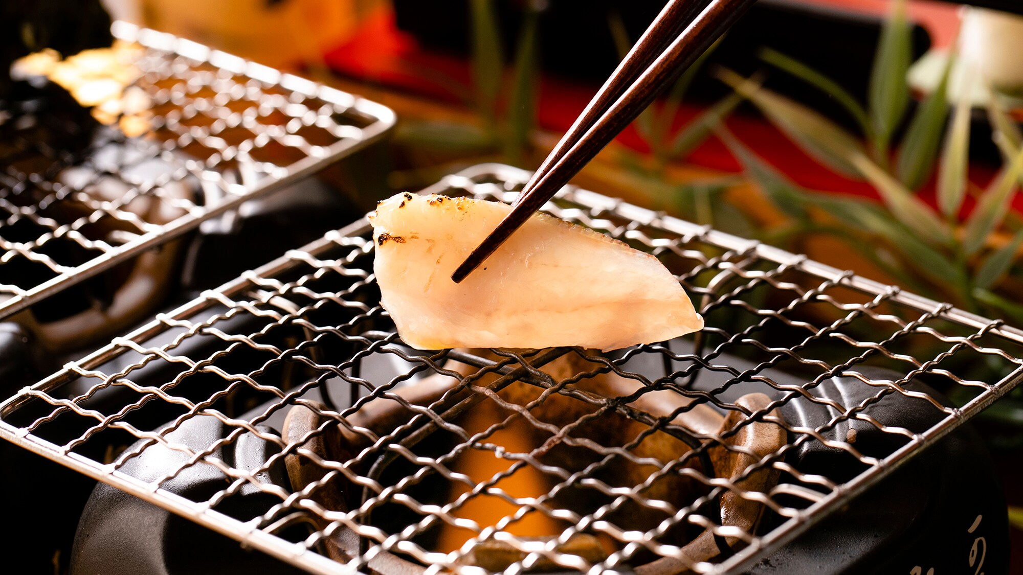 [Grilled rosy seabass]
